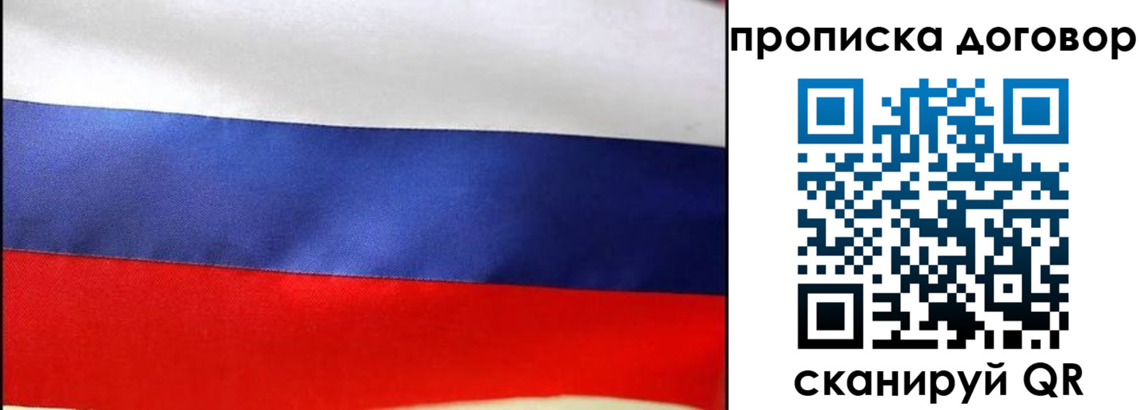 прописка гарантия в Орле